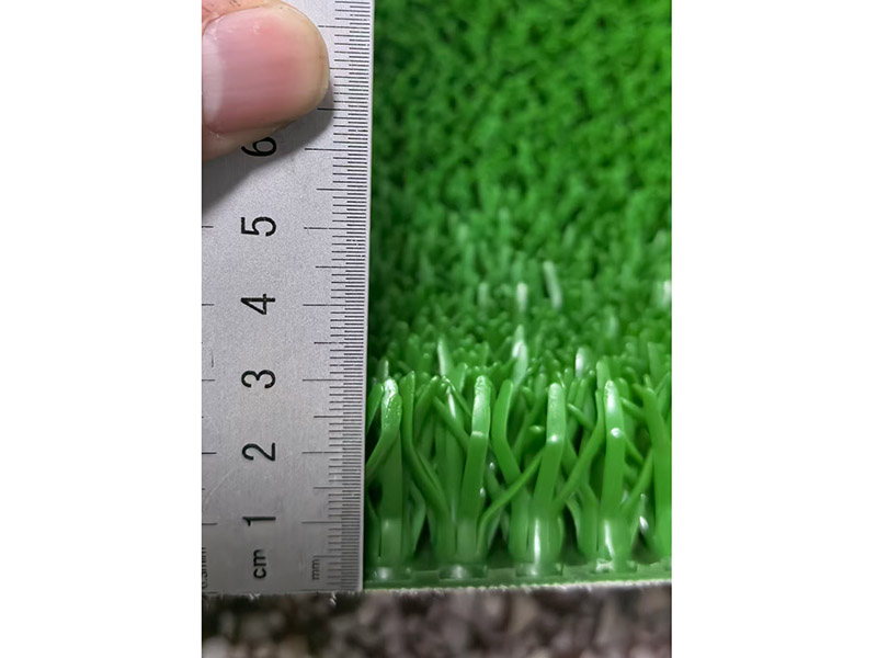 微信图片_20250508035040