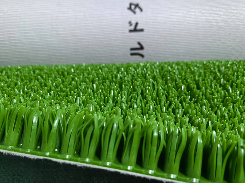 微信图片_20250508035040