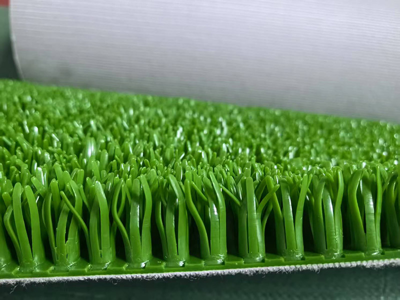 微信图片_20250508035040